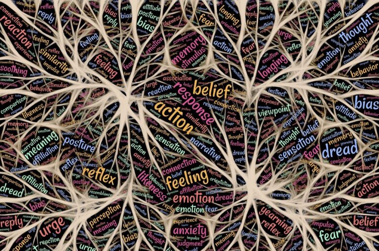 Nervous System