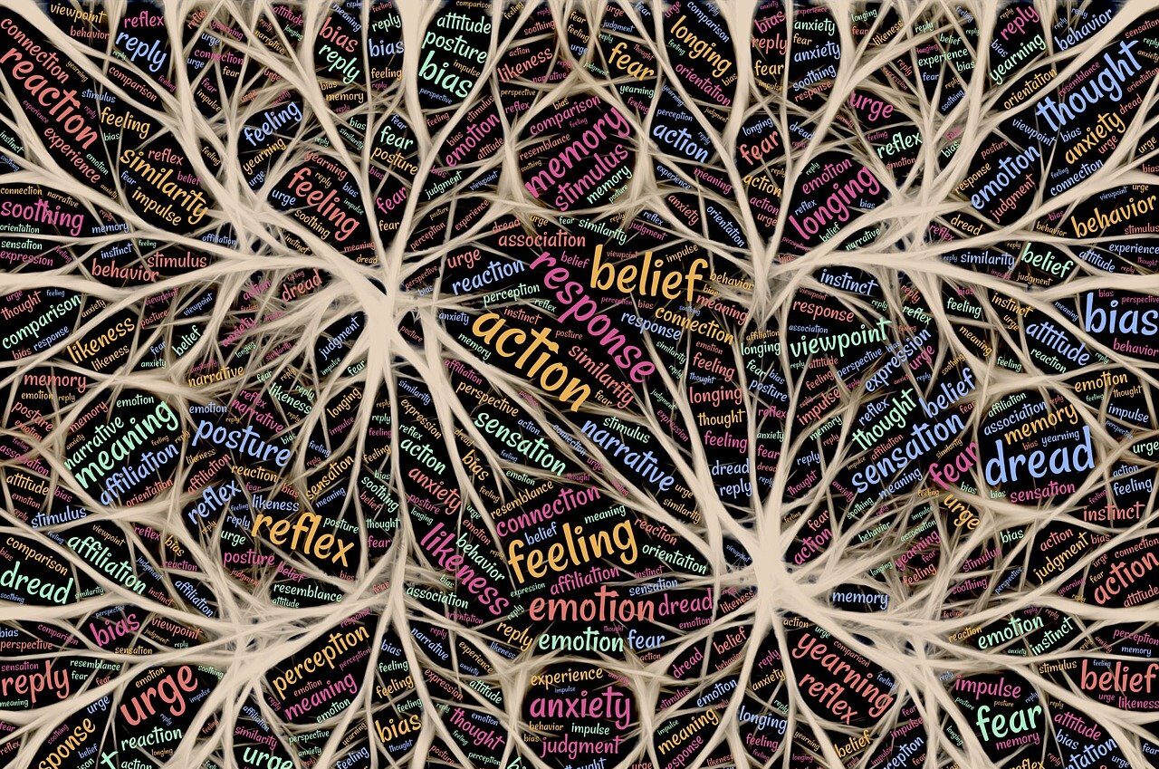 The Nervous System